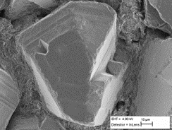 Unsuitable polymer - grains are not embedded in the polymer