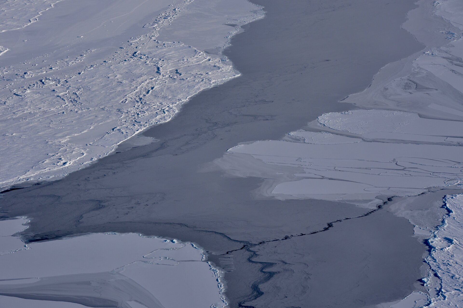 Sea ice