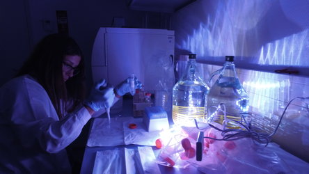 PlanOx student preparing samples for fluorescence microscopy