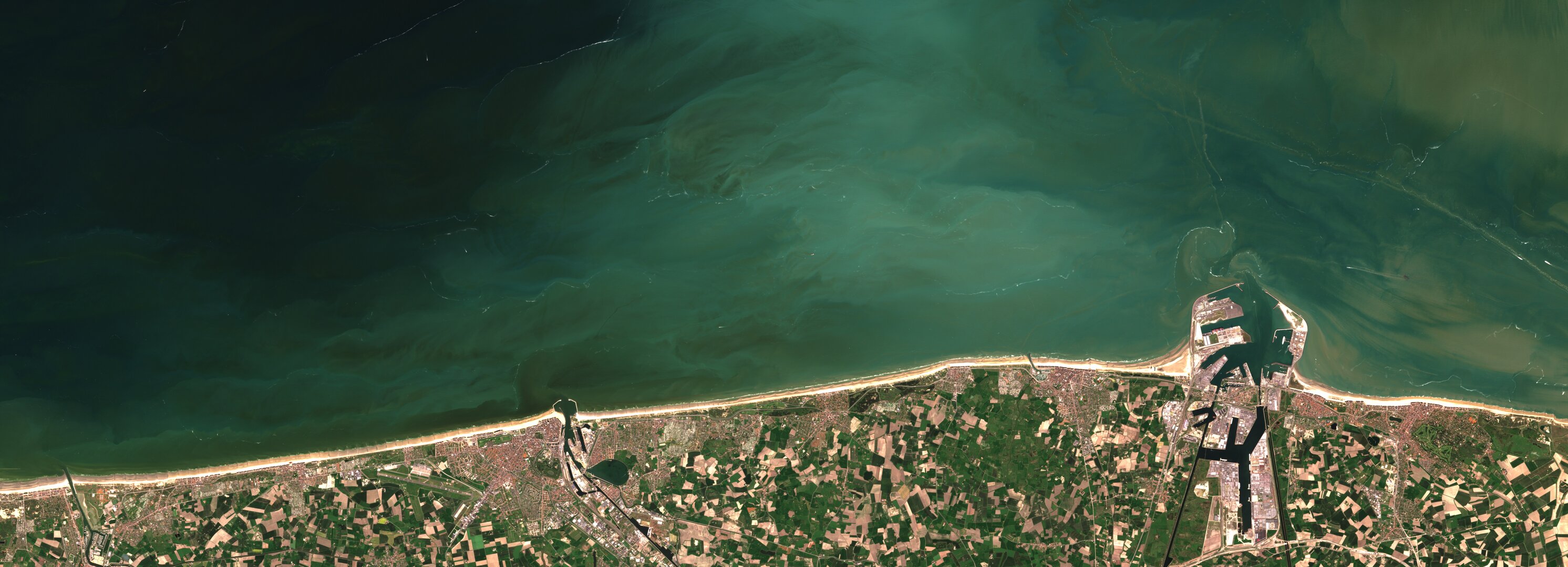 Algal bloom off Belgian coast