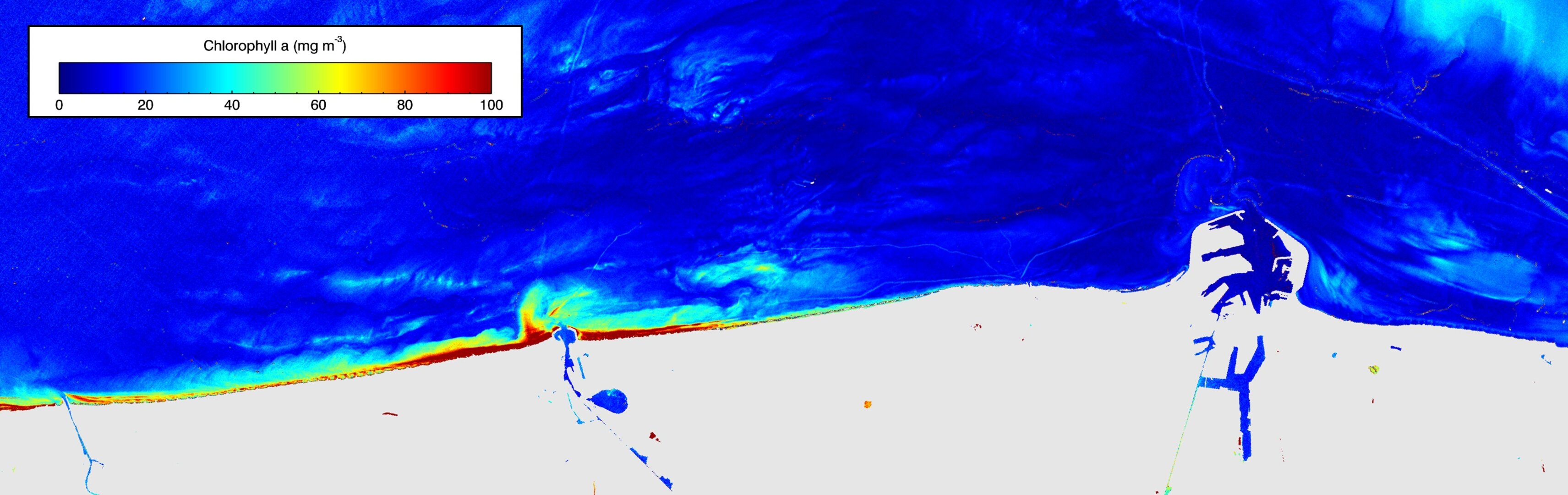 Chlorophyll off the Belgian coast