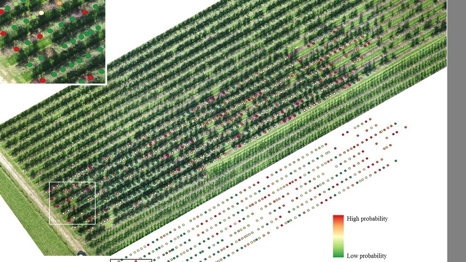 Utile pour l’agriculture : ici une observation de maladie chez des végétaux