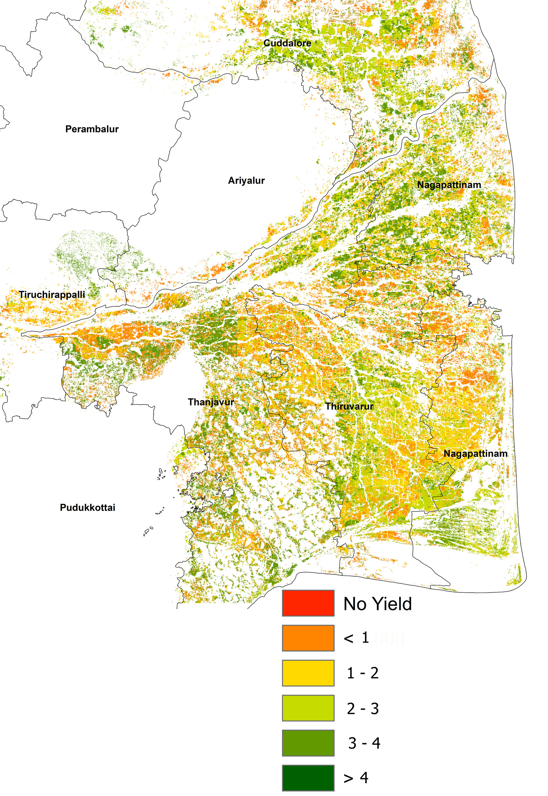 Rice yield