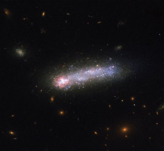 Dwarf galaxy Kiso 5639