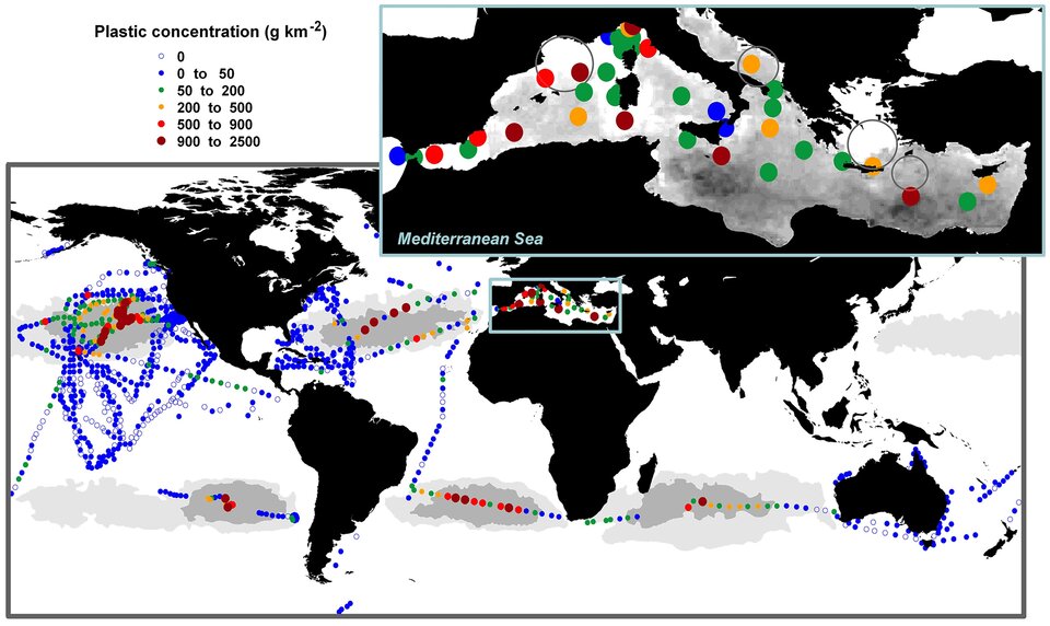 Plastic litter in global oceans