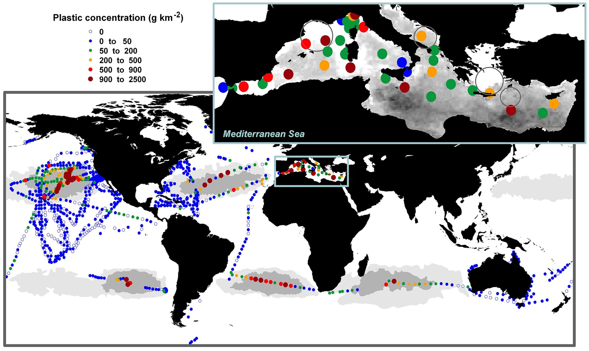 Plastic litter in global oceans