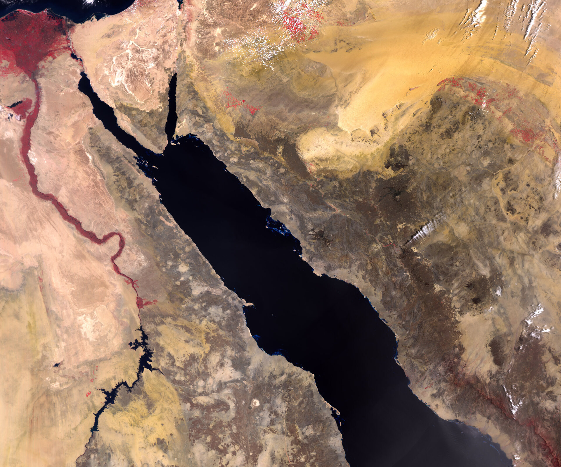 Red Sea from Sentinel-3B