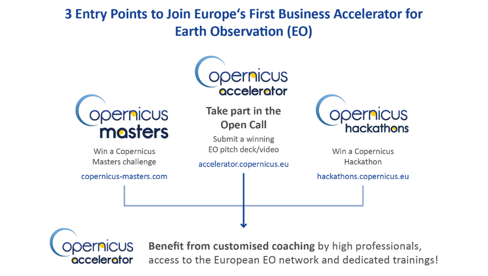 The three ways to access the Copernicus Accelerator 2018 programme