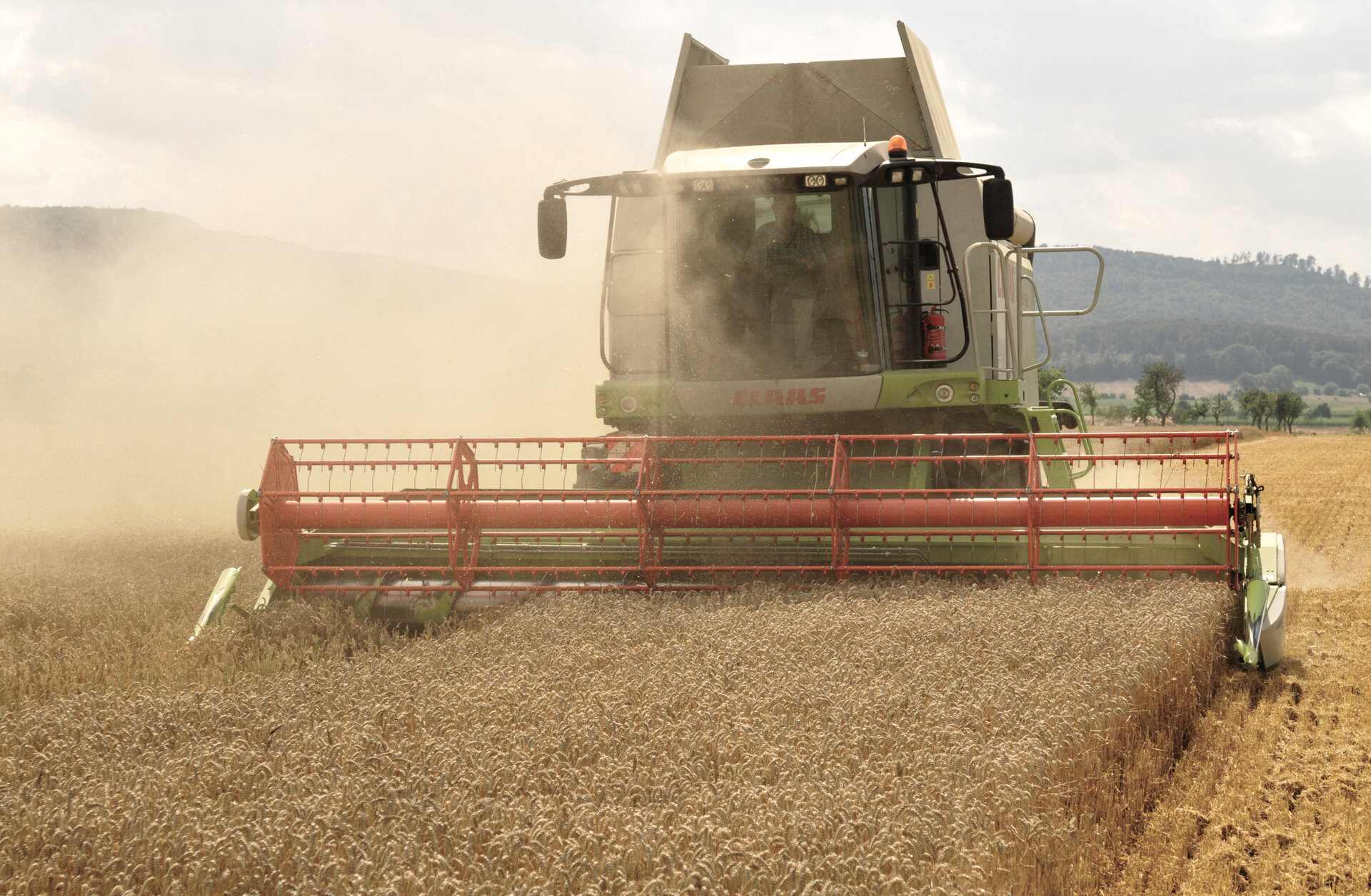 Wheat harvest