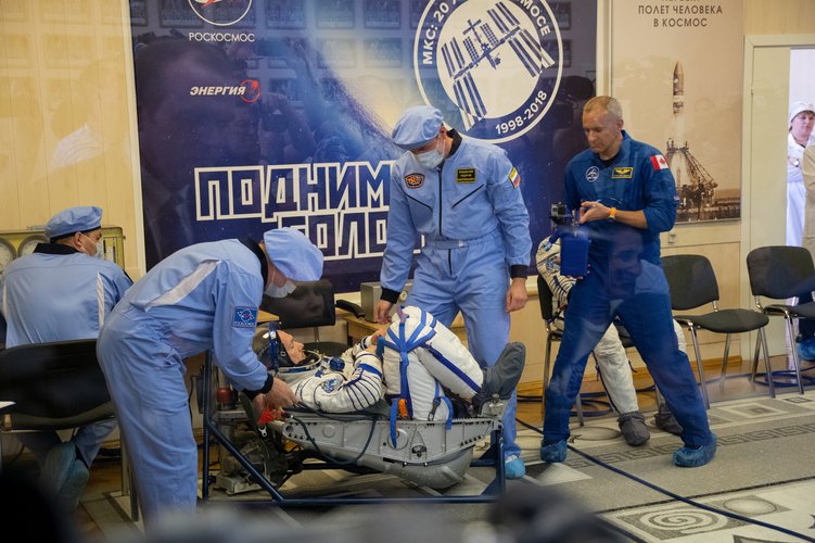 Sokol suit checks