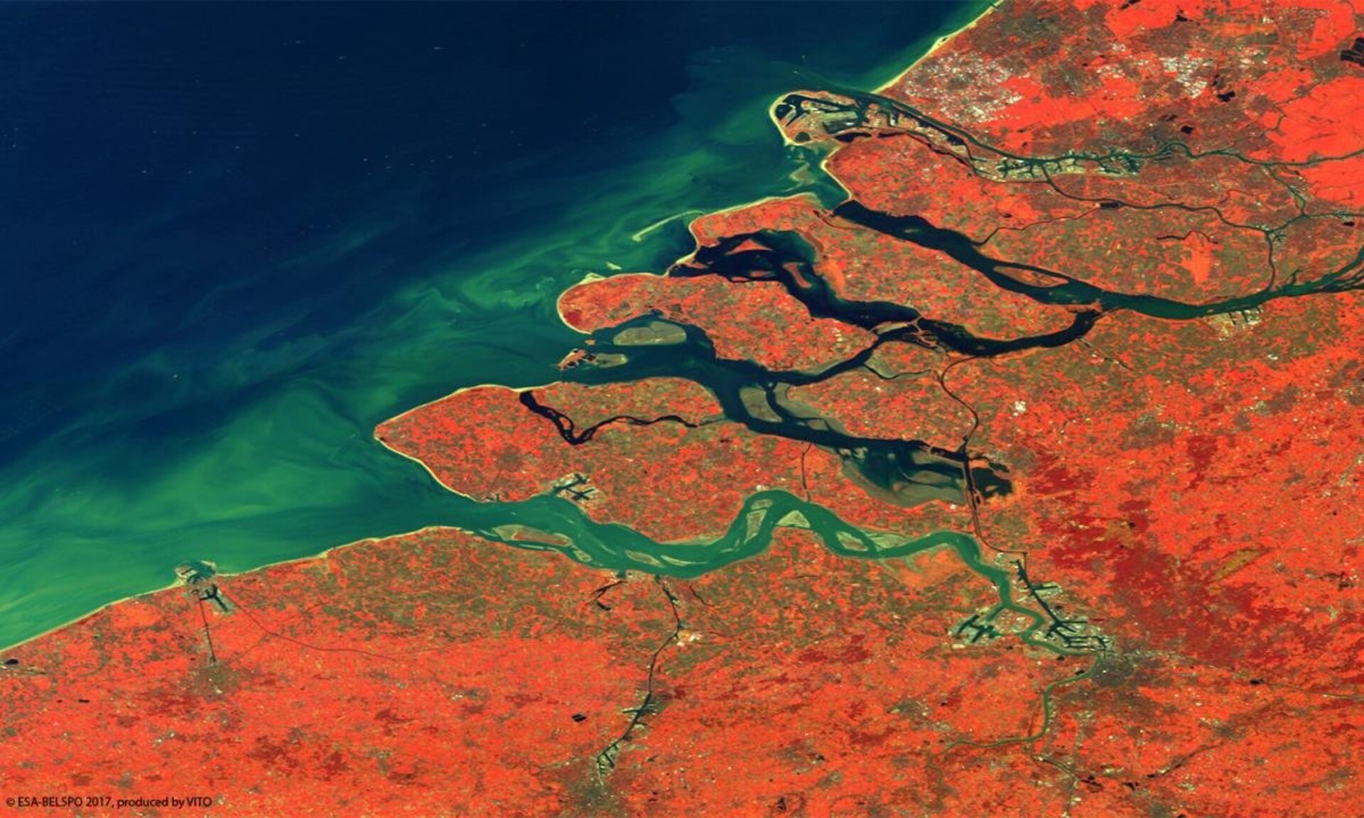 Rhine and Scheldt delta from Proba-V