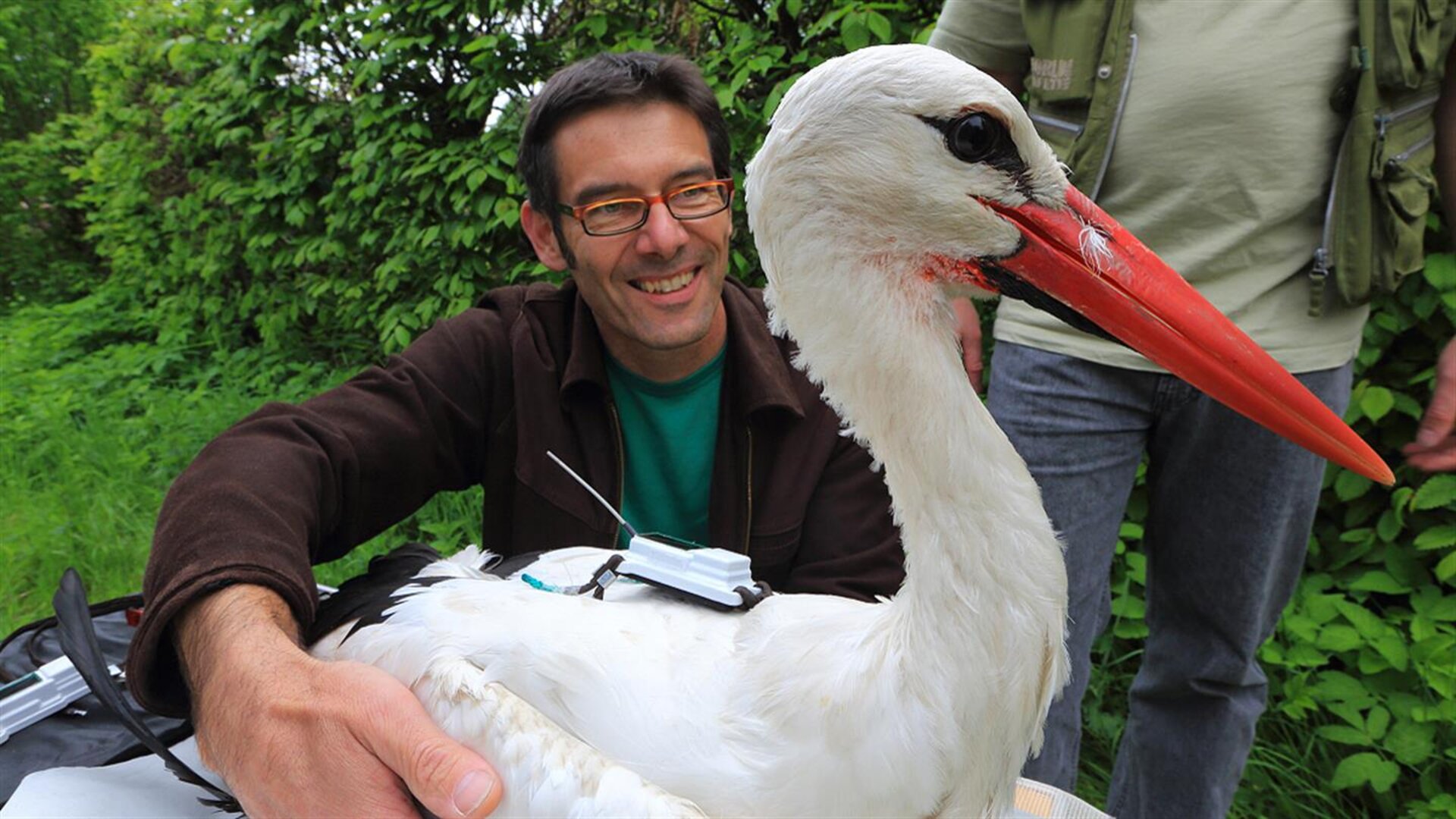 Prof. Martin Wikelski, Direktor des Max-Planck-Instituts für Ornithologie
