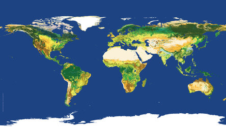 2015 global land cover map