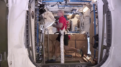 Paxi on the ISS: Exercising in space