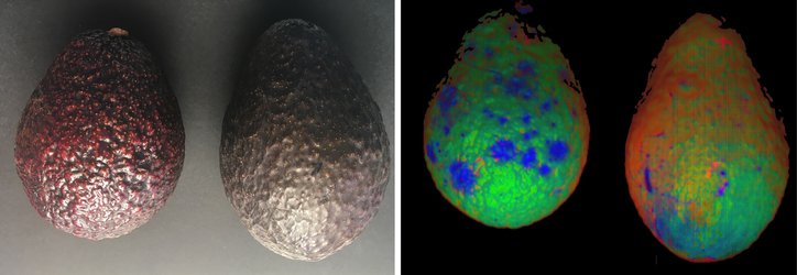 Hyperspectral pictures of avocados