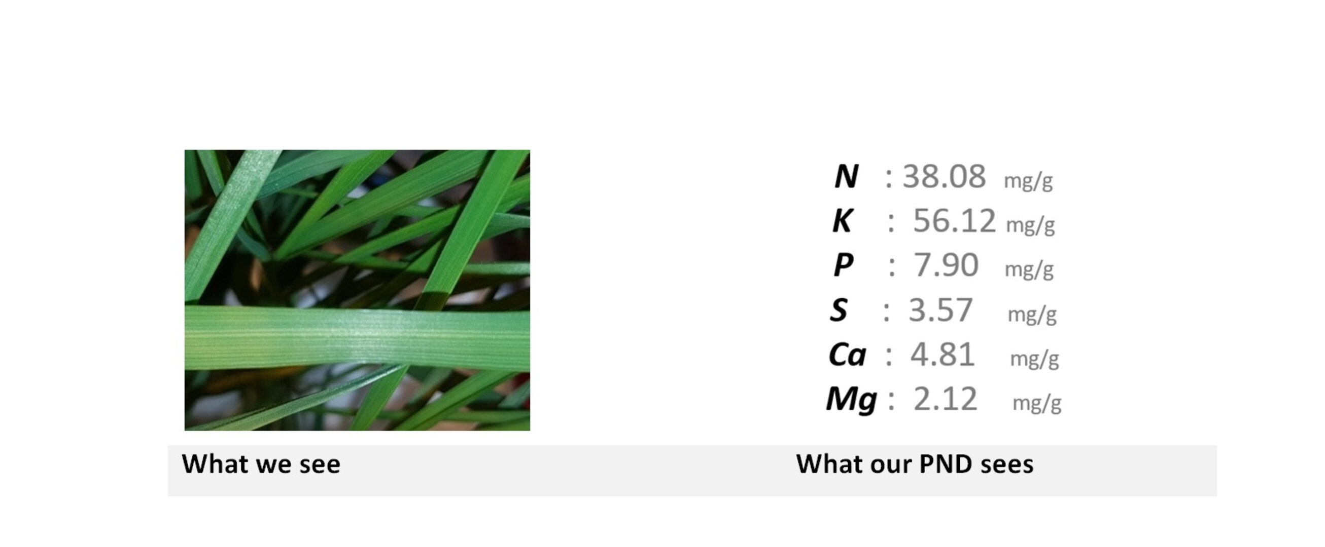 Plant nutrient detection (PND)