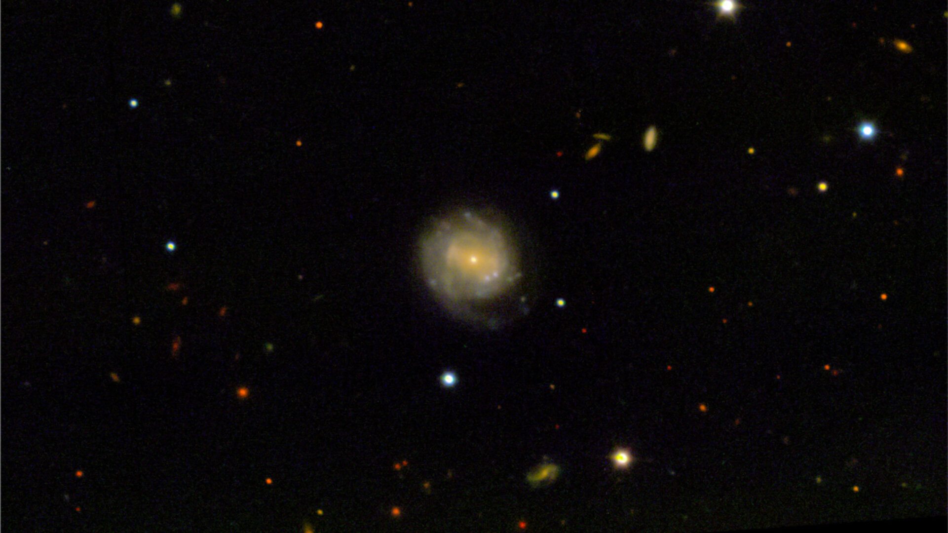 Supernova host galaxy