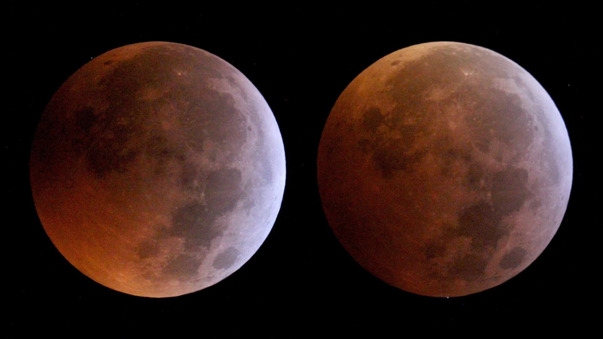 Stellar occultations during the lunar eclipse