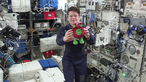 Paxi on the ISS: Moving in space