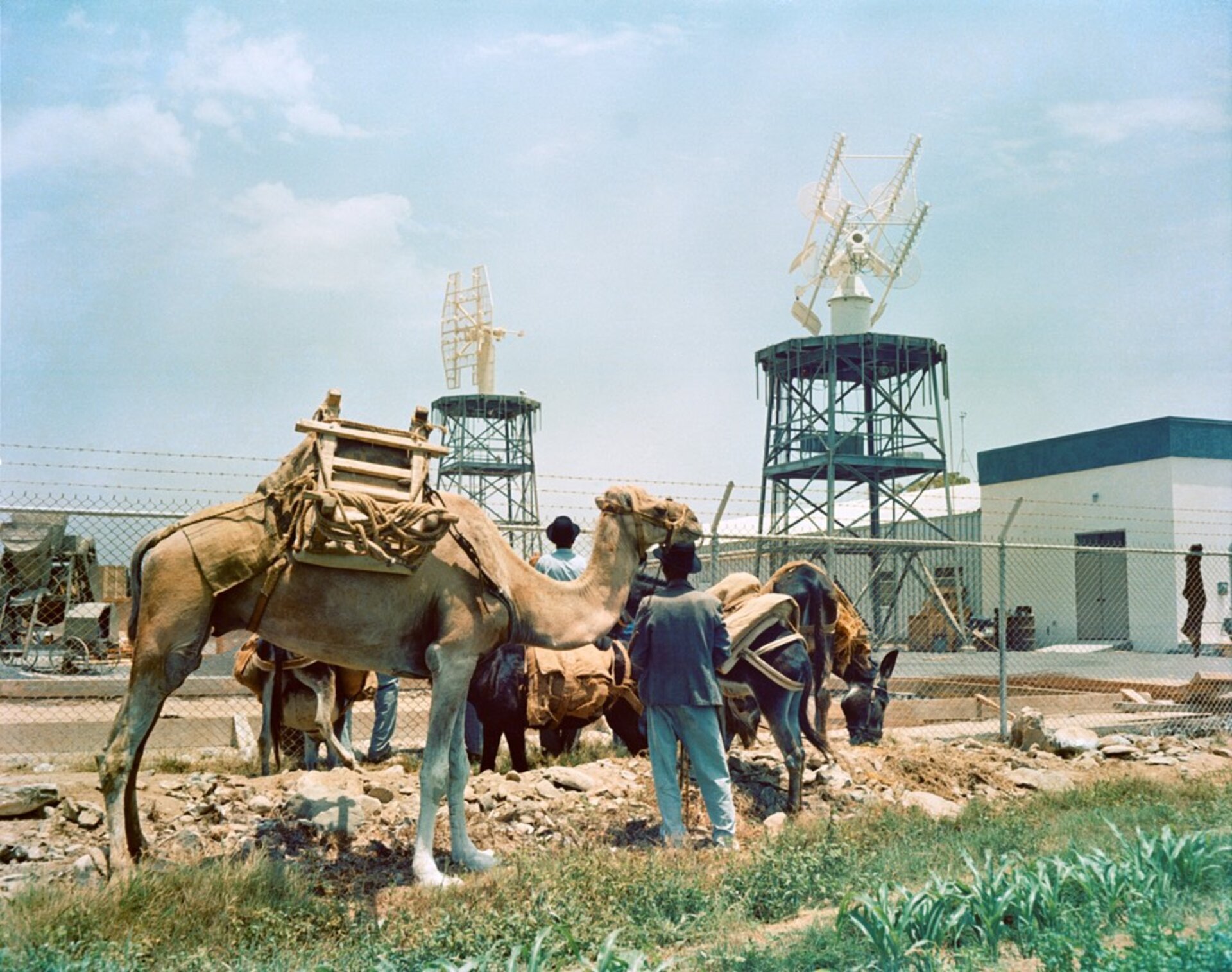 Camels on Canary - Valeriano Claros Guerra