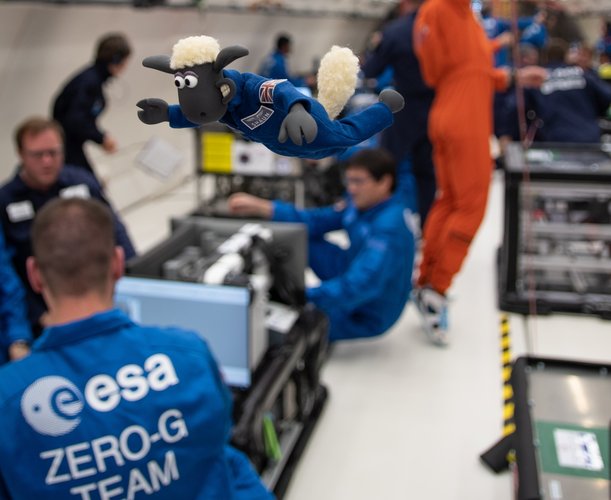 Shaun the Sheep experiencing microgravity on ESA parabolic flight