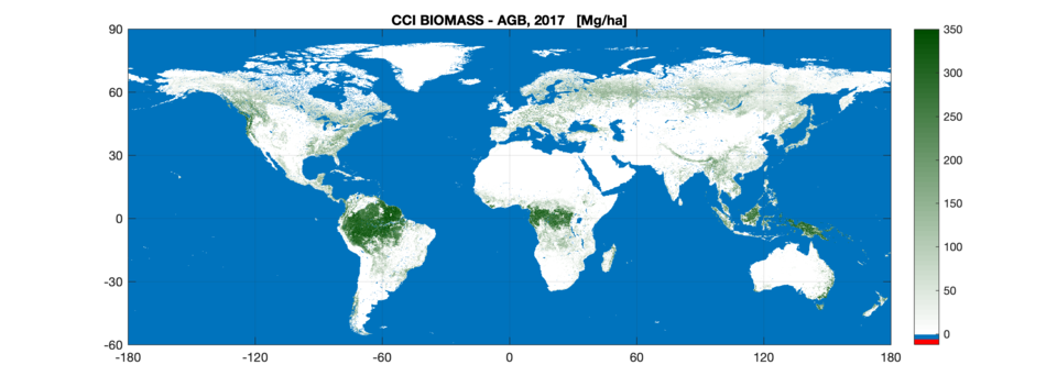 Biomass: Quantifying carbon in forests