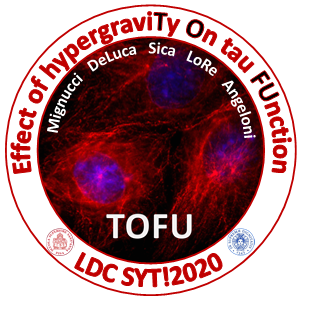 TOFU Logo