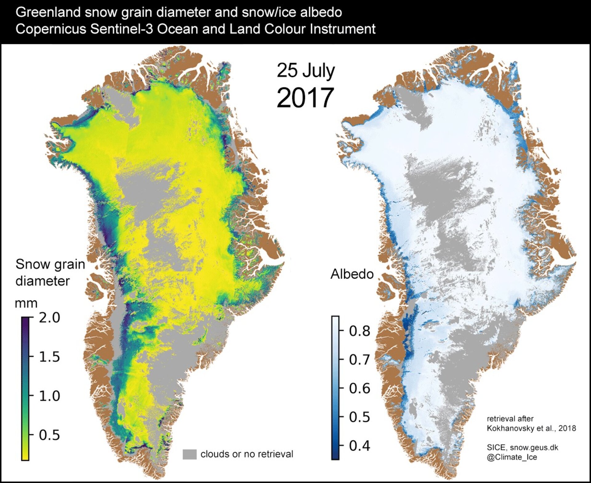 Greenland snow grain diameter and reflectance