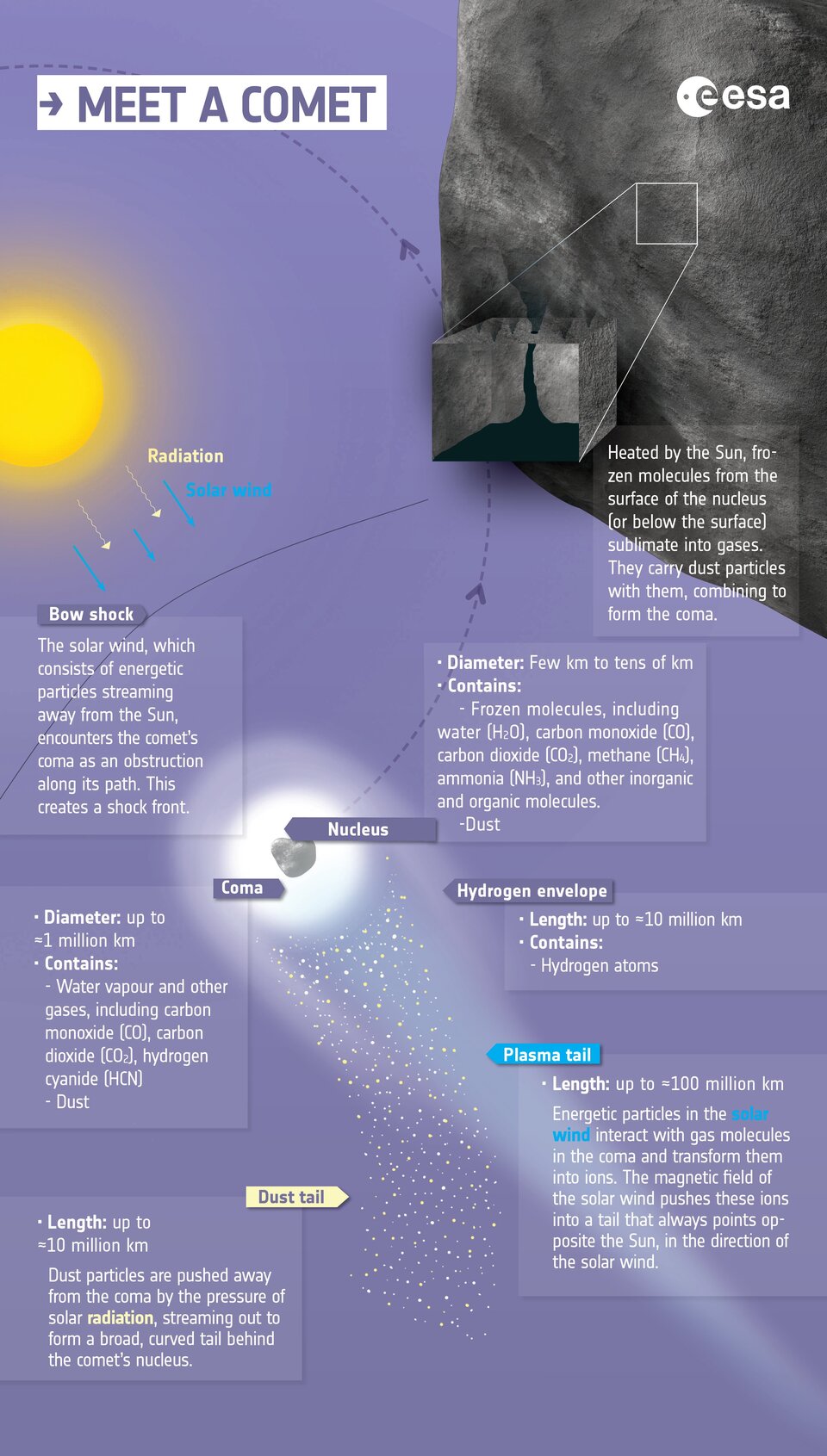 Anatomía de un cometa: infografía 
