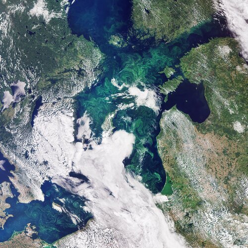 This image, captured by the Copernicus Sentinel-3 mission, takes us over the green algae blooms swirling around the Baltic Sea.