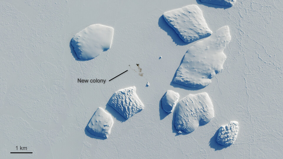 Banco del glaciar Ninnis, Antártida (hacer clic en la imagen para ampliarla)