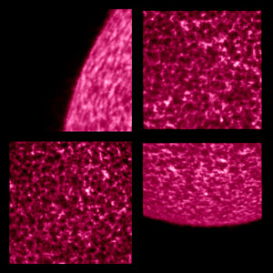 Solar Orbiter’s high-resolution view of the Sun