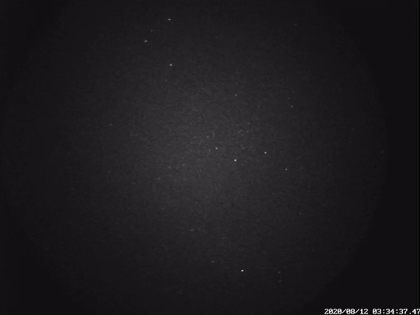 Perseid meteor captured by ESA’s Canary Islands camera