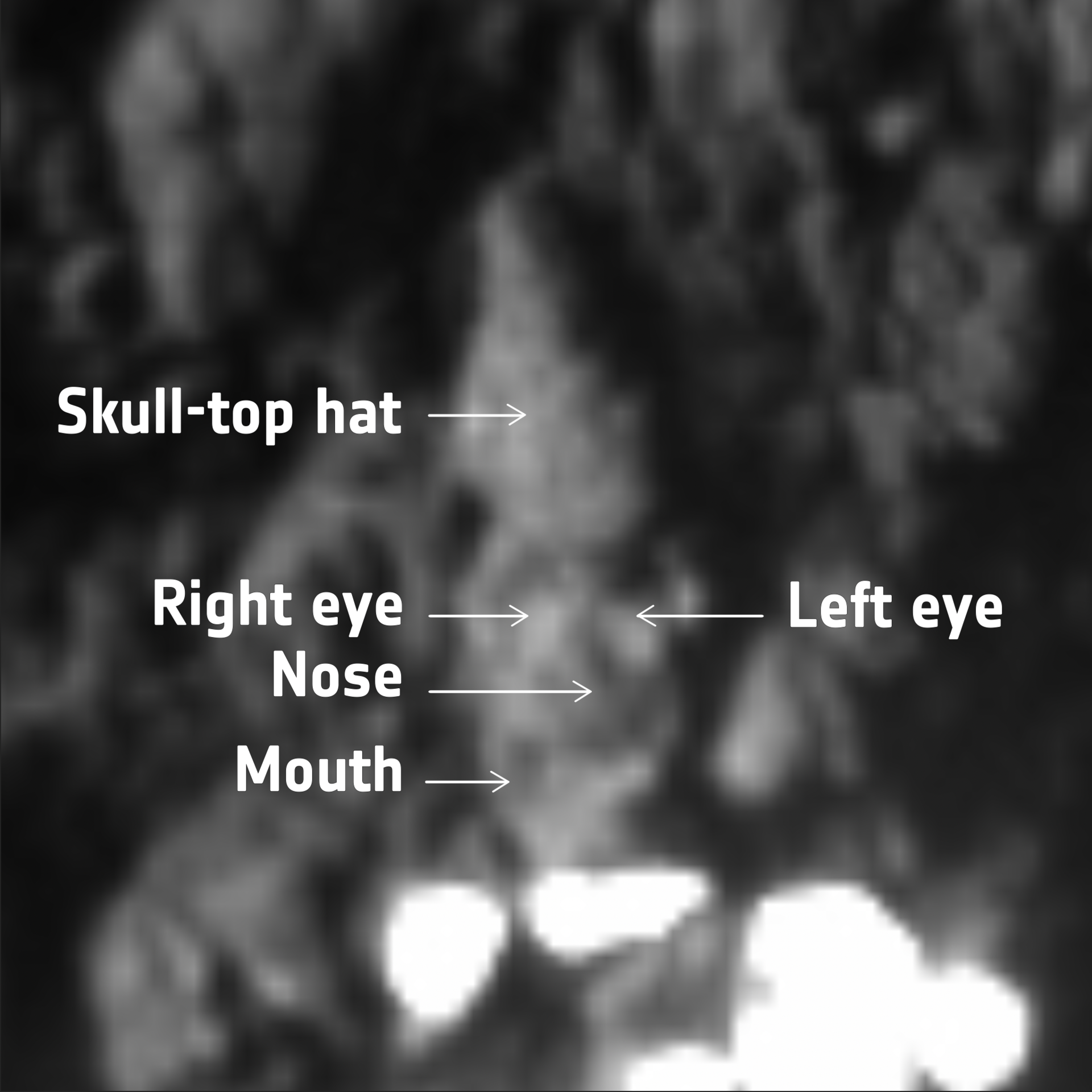 Skull rock annotated