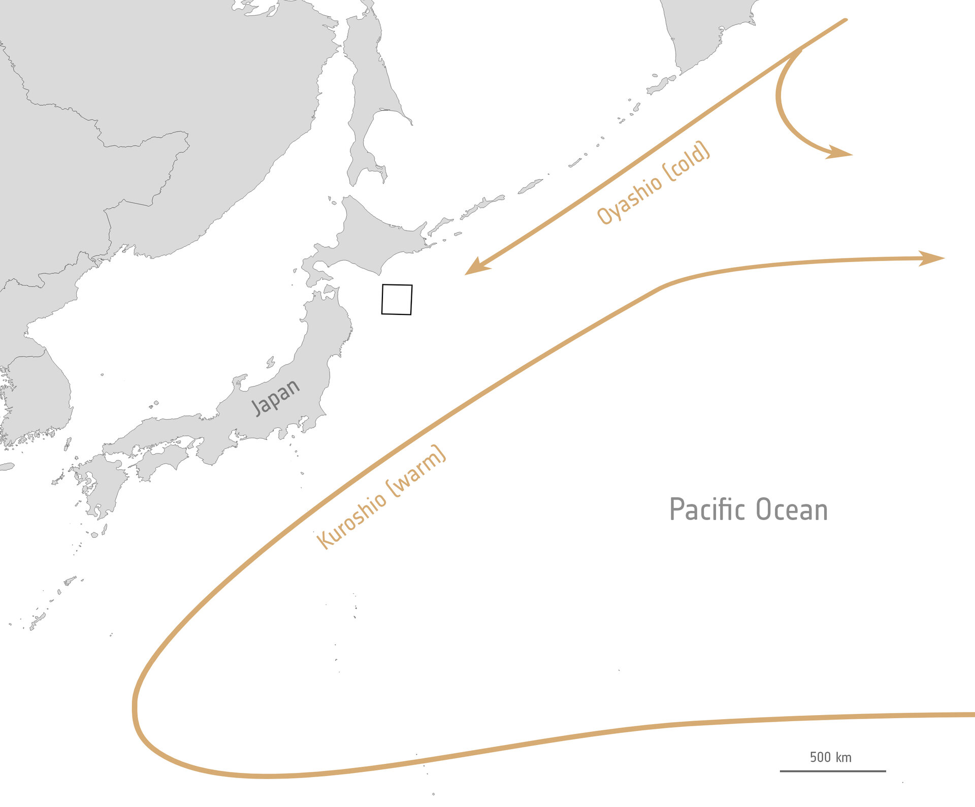 Oyashio and Kuroshio Currents