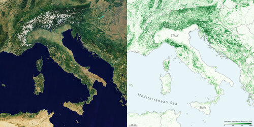 Above ground biomass in Italy