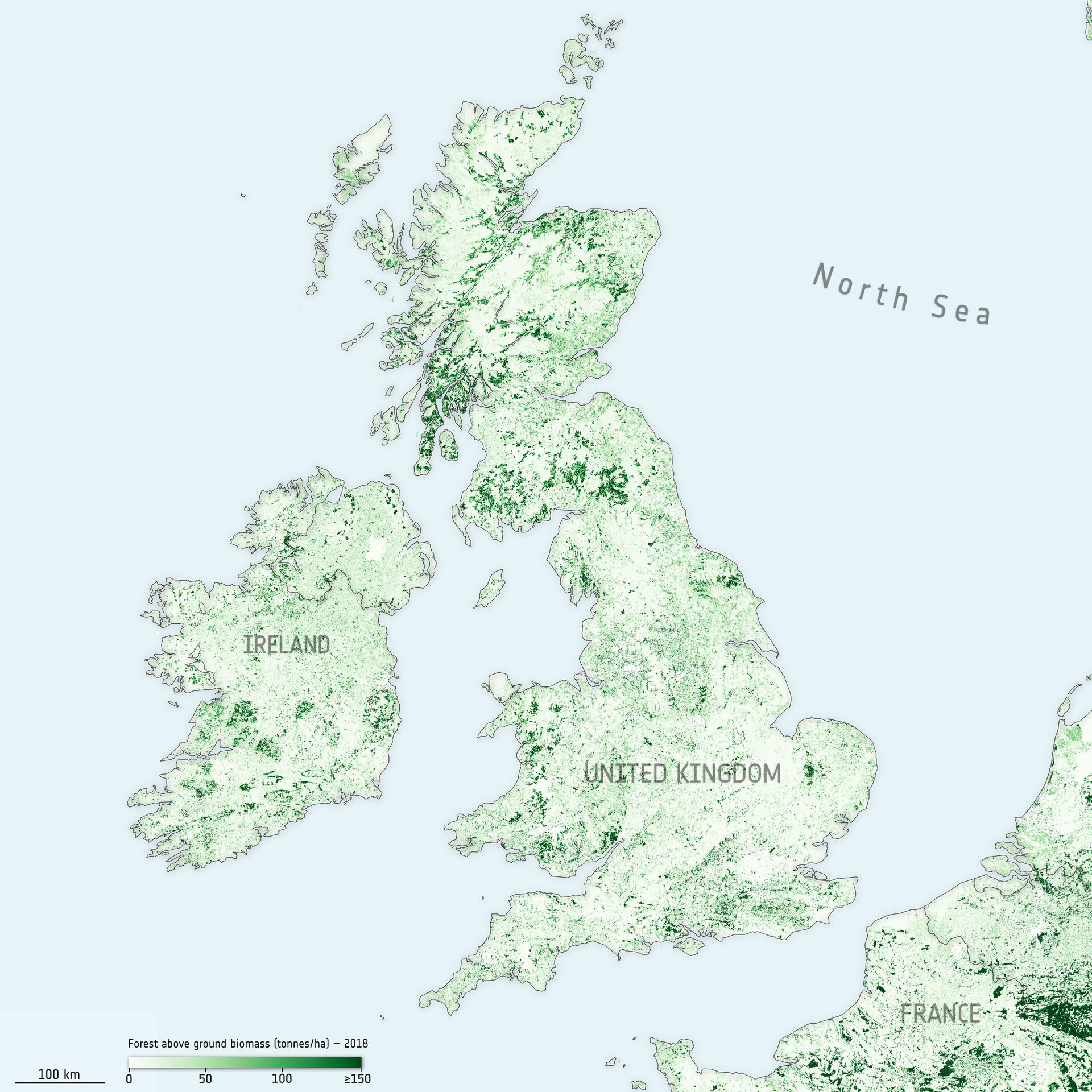 Above ground biomass in the United Kingdom and Ireland