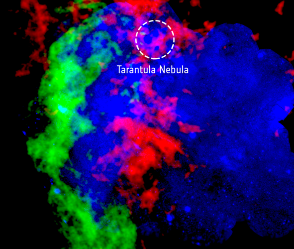 Tarantula Nebula in the Large Magellanic Cloud