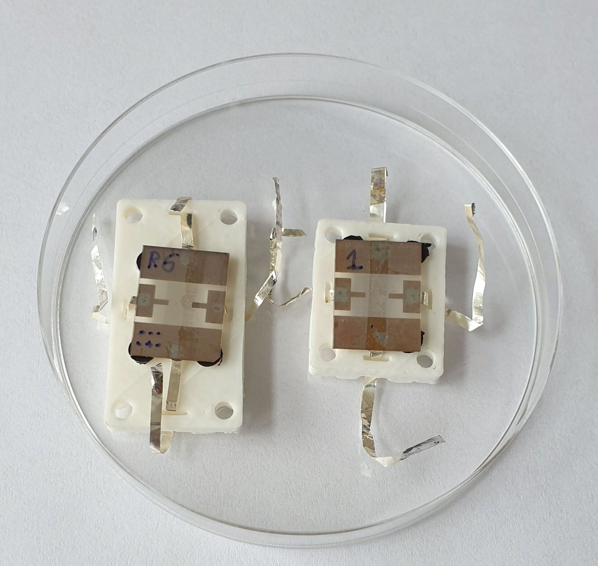 Graphene sensor prototypes