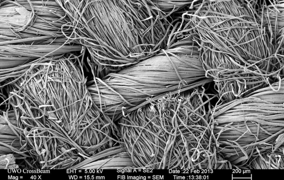 Mikroskopische Ansicht eines Textils