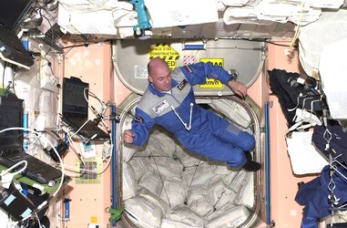 André Kuipers with a European Robotic Arm model on the Space Station