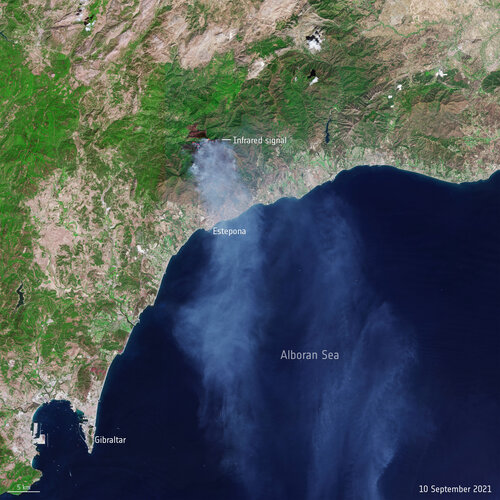 Wildfire in Andalusia, Spain