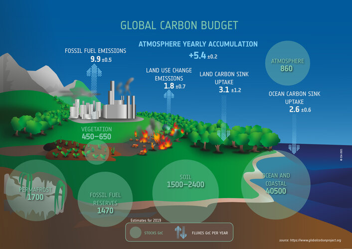 Global carbon budget