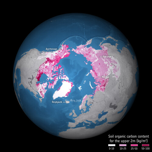 Organic carbon in permafrost