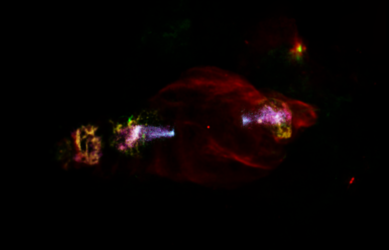 Cosmic manatee accelerates particles from head