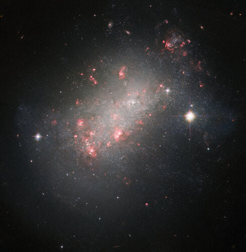 A marvel of galactic morphology