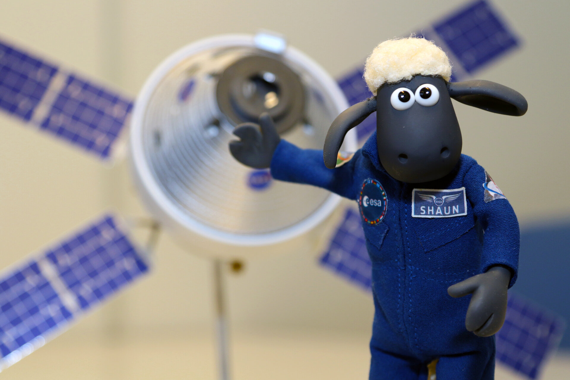 How far will Shaun’s career in space go? Only time wool tell.