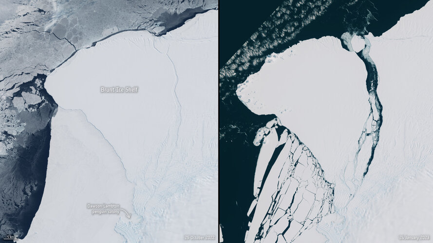 Brunt Ice Shelf and the Dawson-Lambton penguin colony