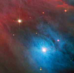 Tempestuous young stars in Orion