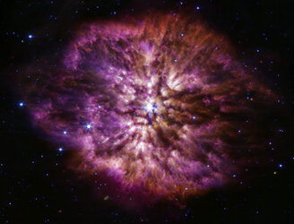 Wolf-Rayet 124 (MIRI image)